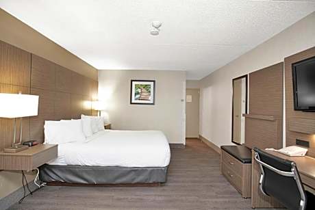 Junior King Suite with Sofa Bed