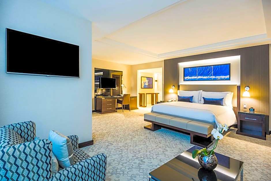 Hyatt Regency San Luis Potosi