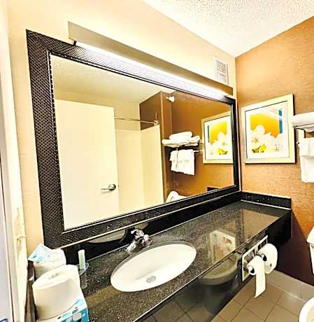 1 King Bed, Suite, Nonsmoking