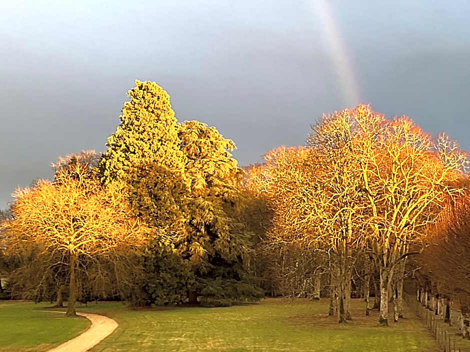 Château de Beauvais
