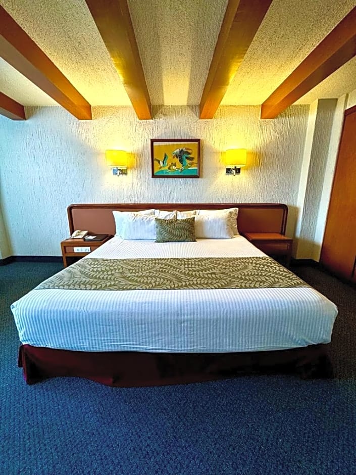 Hotel Metropol