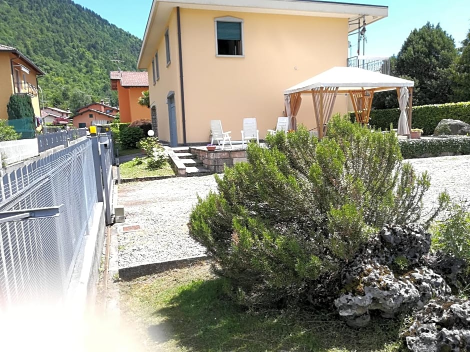 Photo 1 of 46 of LA MOIA