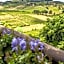 Torciano Hotel Wine & Winery, Tuscany