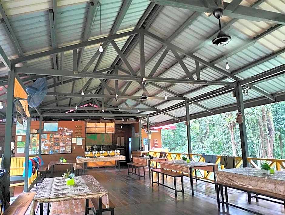 Borneo Jungle Adventure