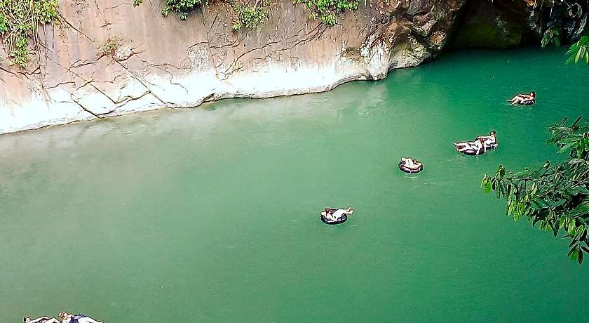 Green lodge tangkahan 