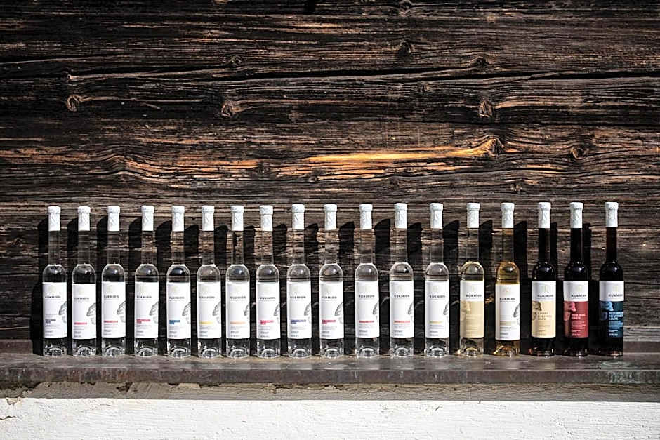 Thermenhof PuchasPLUS Loipersdorf