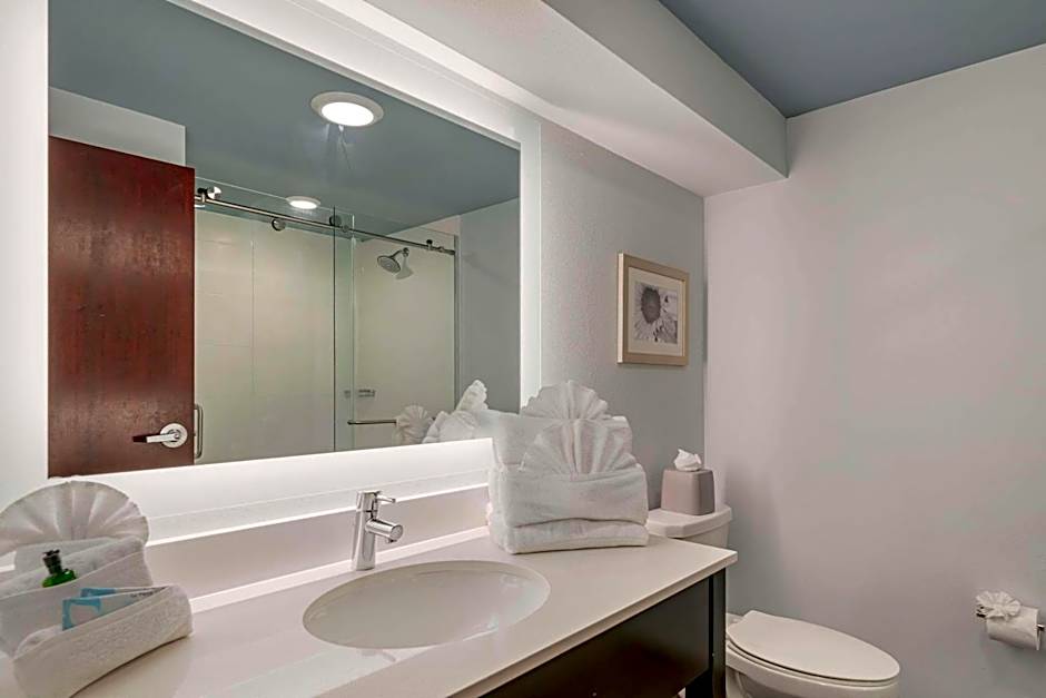 Heidel House Hotel and Conference Center, an Ascend Collection Hotel