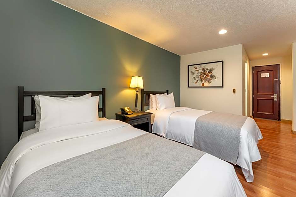 Hotel Dann Av. 19