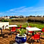 Le Maset en Camargue