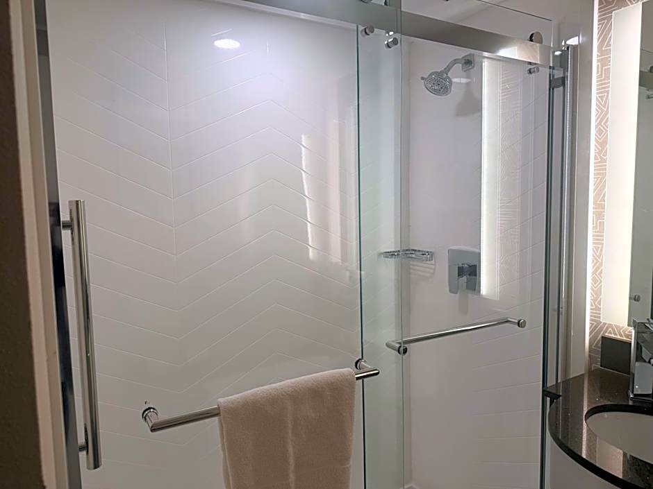 Fairfield by Marriott Inn & Suites Houston Downtown
