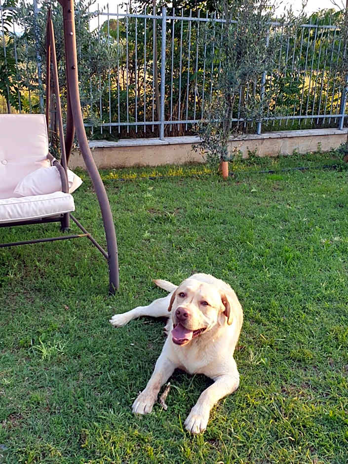 Il Rifugio Del Tempo