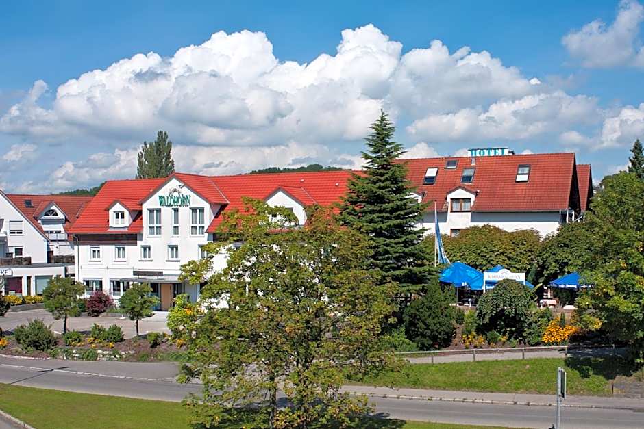Hotel Waldhorn