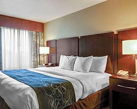 1 King Bed Suite Nonsmoking Accessible