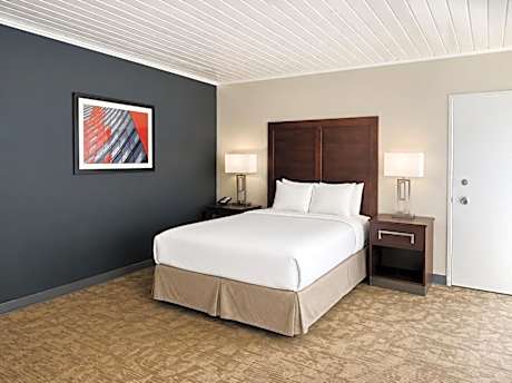 Superior Queen Room