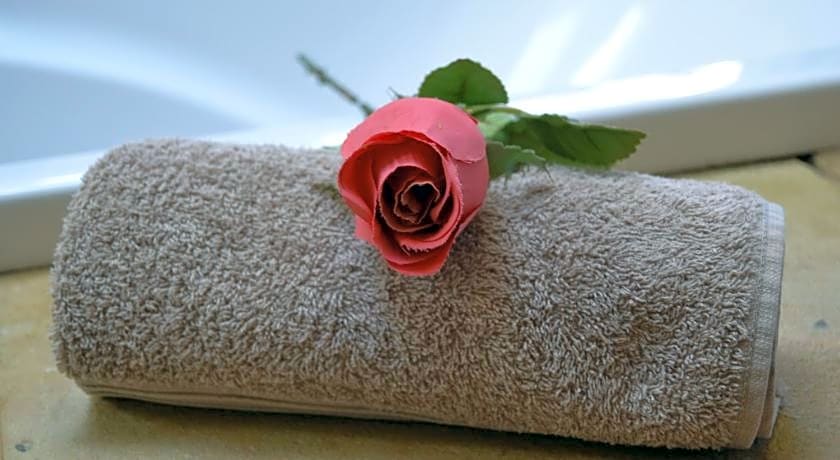 Dolphin View Guesthouse