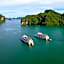 Paradise Elegance Cruise Halong