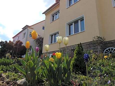 Apartment Avanzato