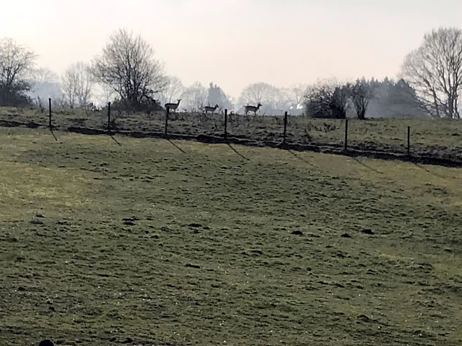 Gasterij Berg en Dal