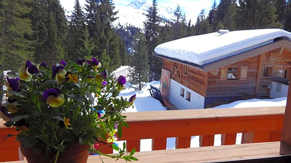 Astn Hütten Residenz Waldsicht Königsleiten - Ferienwohnungen