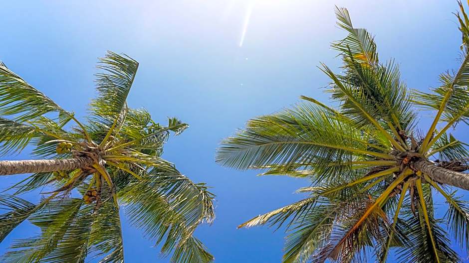 The Mida Creek Hotel