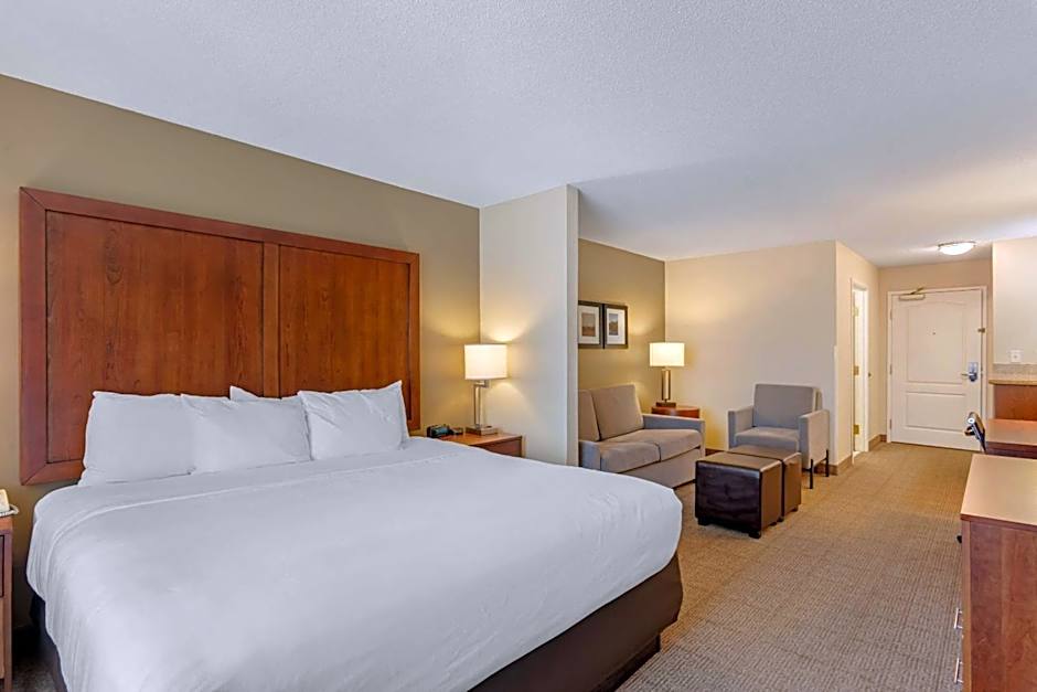 Comfort Inn & Suites Dover near Speedway