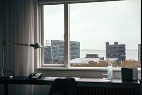 Junior Room, 1 King Bed, City View