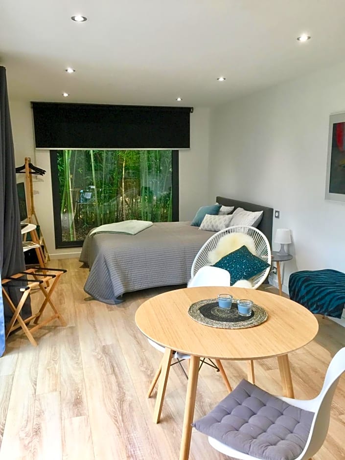 Un petit nid dans la verdure