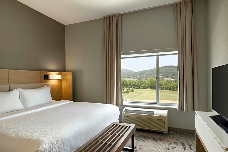 SpringHill Suites by Marriott Roanoke