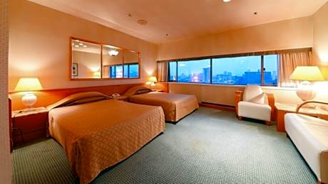 Deluxe Twin Room - Non-Smoking