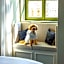 Kimpton Bem Budapest By IHG