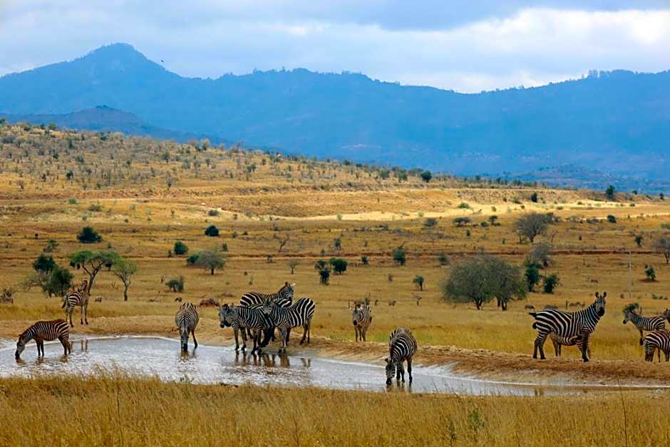 Salt Lick Safari Lodge