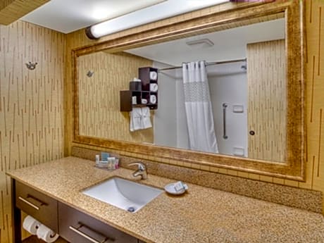 1 KING MOBILITY ACCESS W/TUB NONSMOKING, MICROWV/FRIDGE/HDTV/WORK AREA, FREE WI-FI/HOT BREAKFAST INCLUDED
