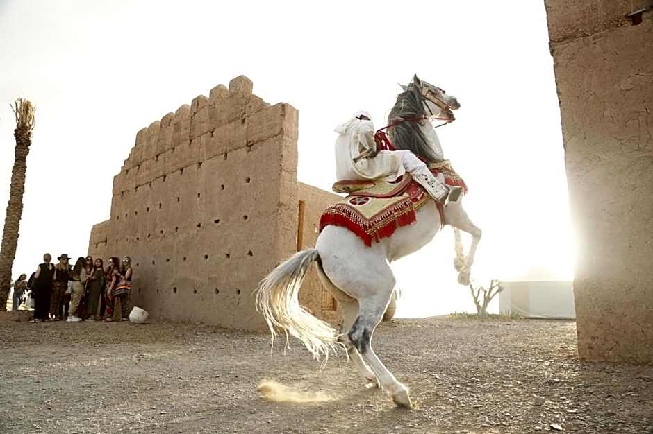The White Camel Camp - Agafay Desert Activities
