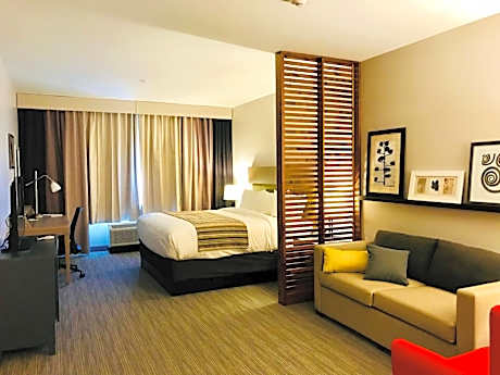 One-Bedroom King Suite - Non-Smoking