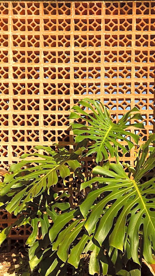 Cabana Surf and Stay