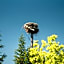 SUNOLUS VINEYARDHOUSe