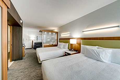 Suite, Multiple Beds (Mobility/Hearing Access, Roll-In Shwr) (2 Queen Beds and 1 Double Sofa Bed)