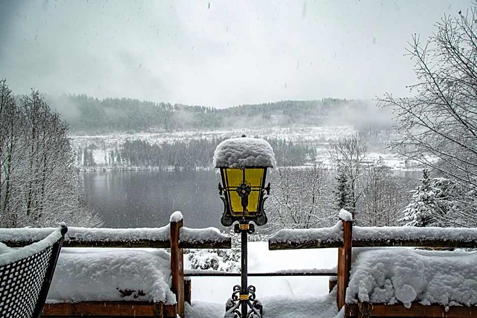 Alemannenhof - Boutique Hotel am Titisee