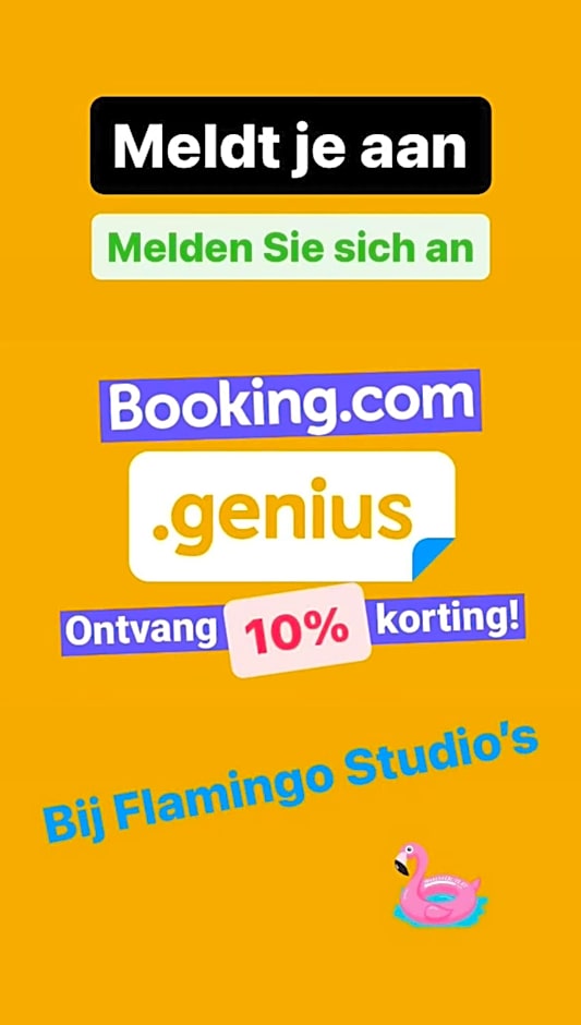 Flamingo Studio's Zeeland