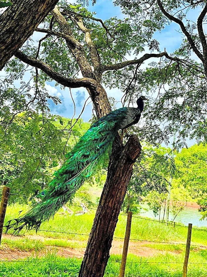 Pousada do Lago Dutra