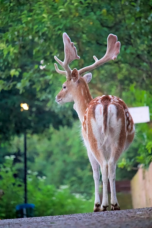 Polonezköy Country Club