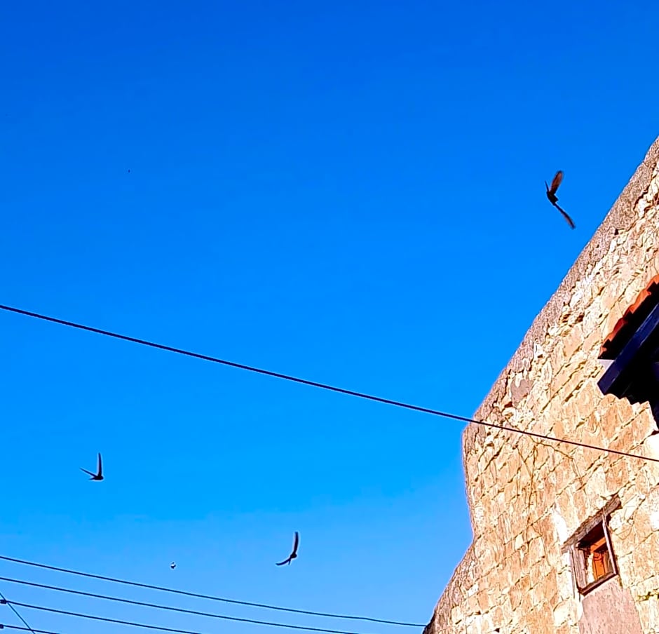 Ble Mavi - Studio for 2