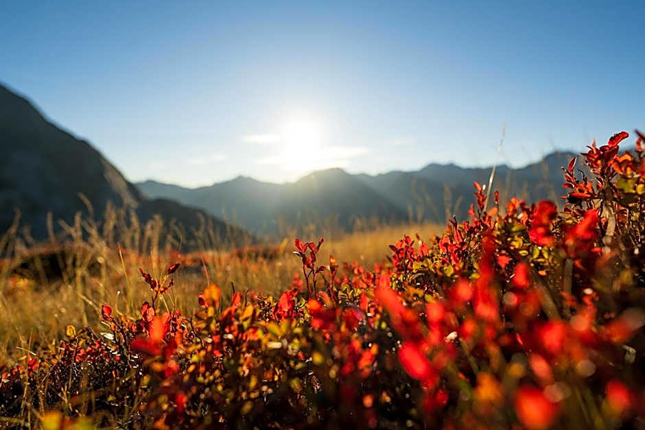 Hotel zum grünen Tor