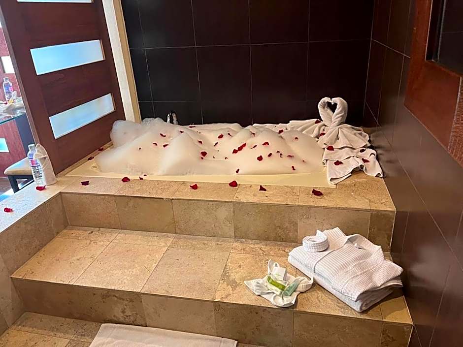 Hotel San Carlos Tequisquiapan