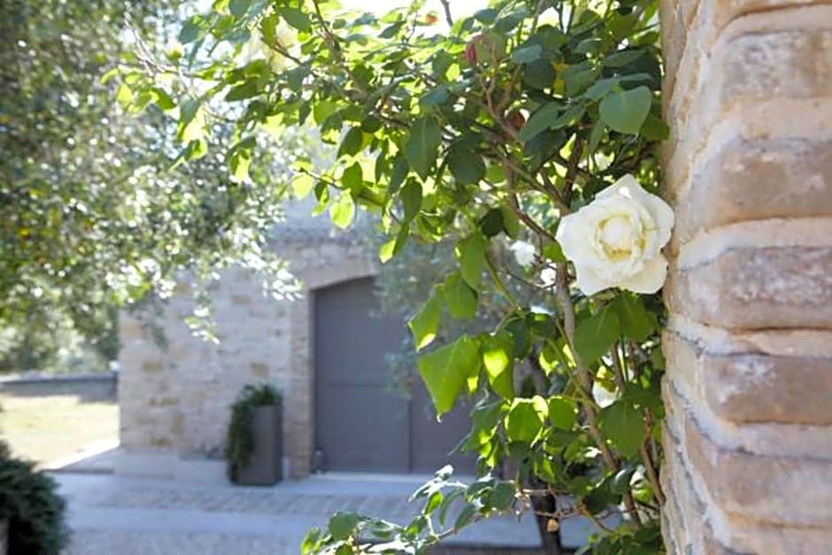 Torri e Merli, Paxoi