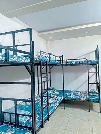 Truly Ha Giang - Dom House