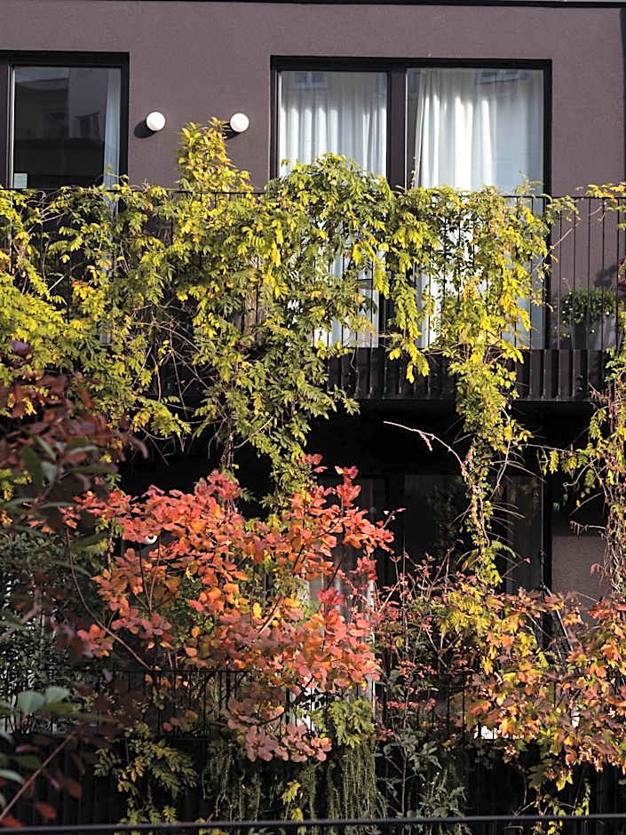 Hotel Indigo - Vienna - Naschmarkt By IHG