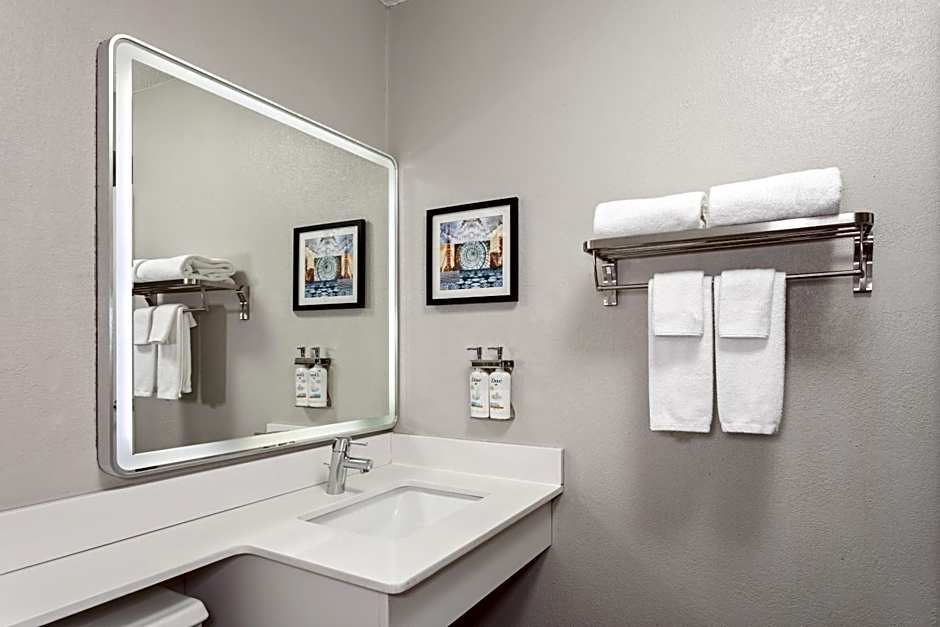 Holiday Inn Chicago/Oak Brook By IHG