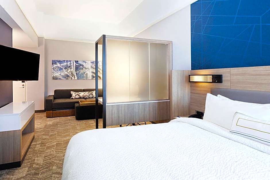 SpringHill Suites by Marriott Montgomery Prattville/Millbrook