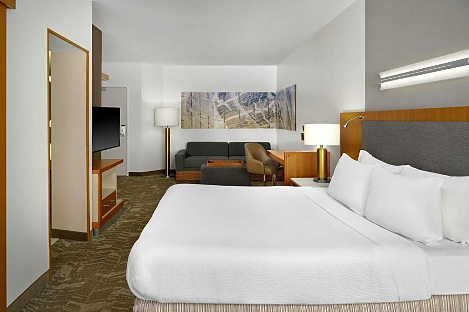 SpringHill Suites by Marriott Detroit Metro Airport Romulus